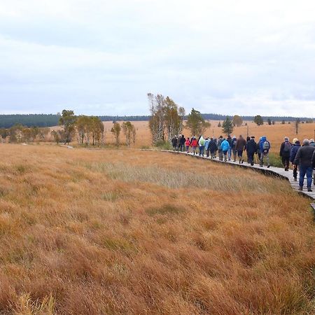 Le Brocard Des Fagnes - 16 Pers Malmedy 빌라 외부 사진