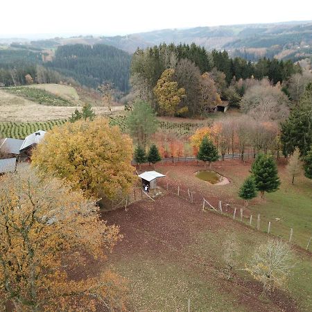 Le Brocard Des Fagnes - 16 Pers Malmedy 빌라 외부 사진